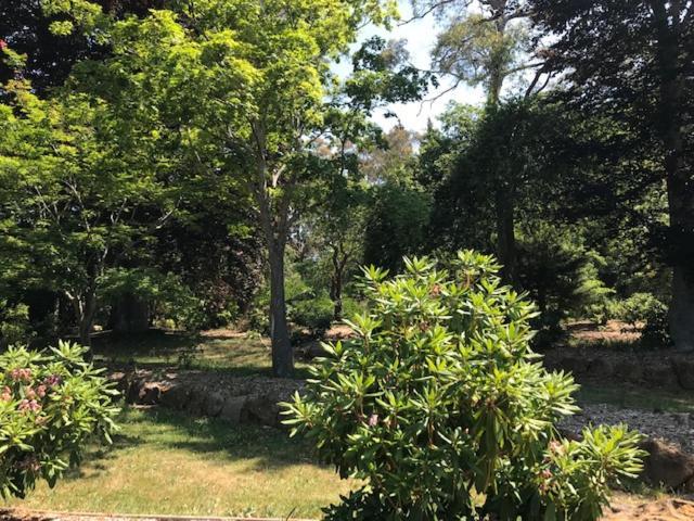 Bridal Falls Cottage Leura Luaran gambar